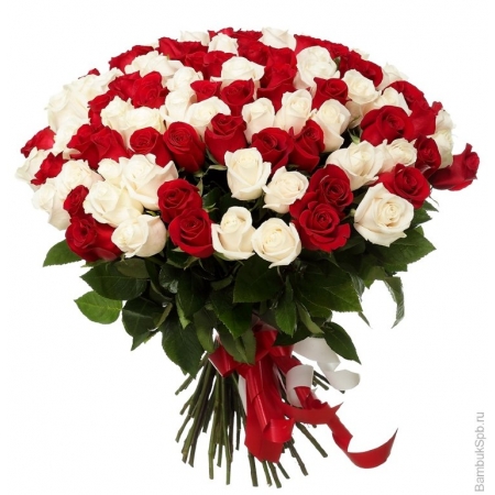 Elegance Bouquet - 24 Stems
